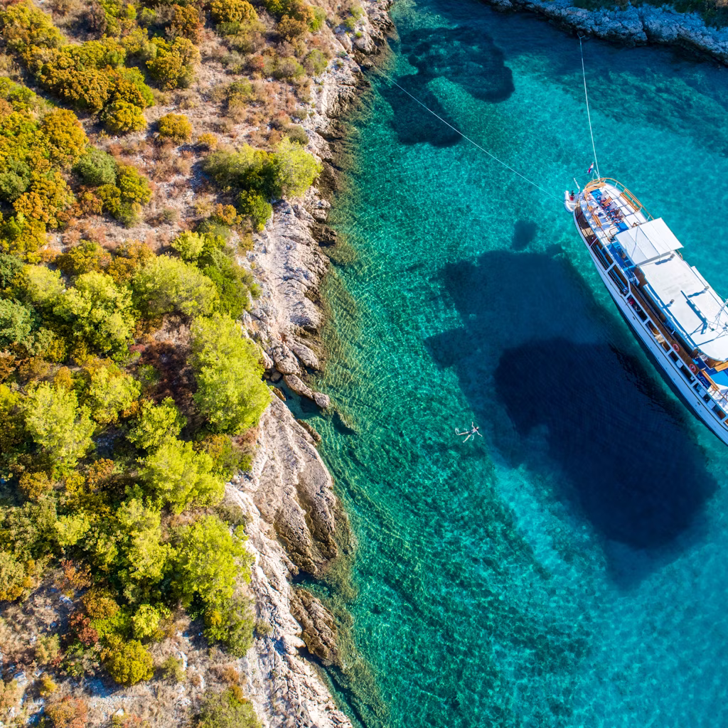 5 Day Navigator Special