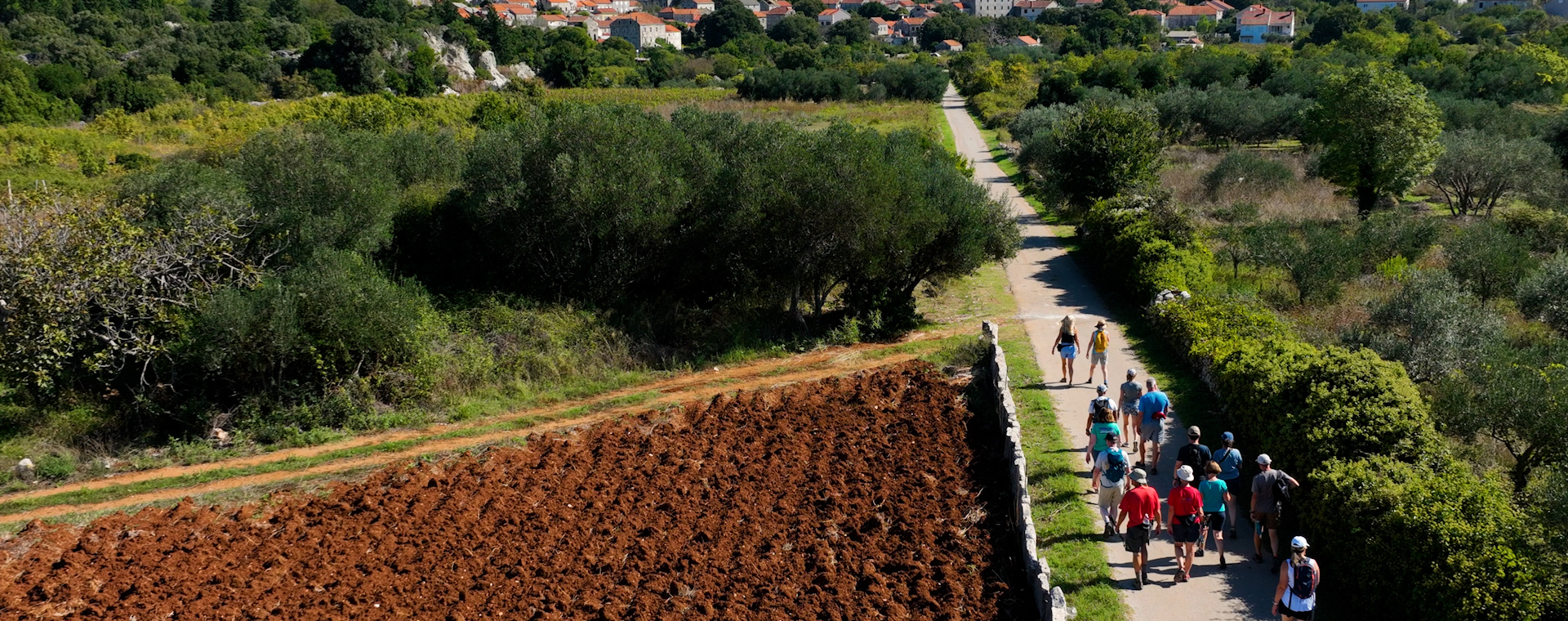 Best Of Croatia Special Banner