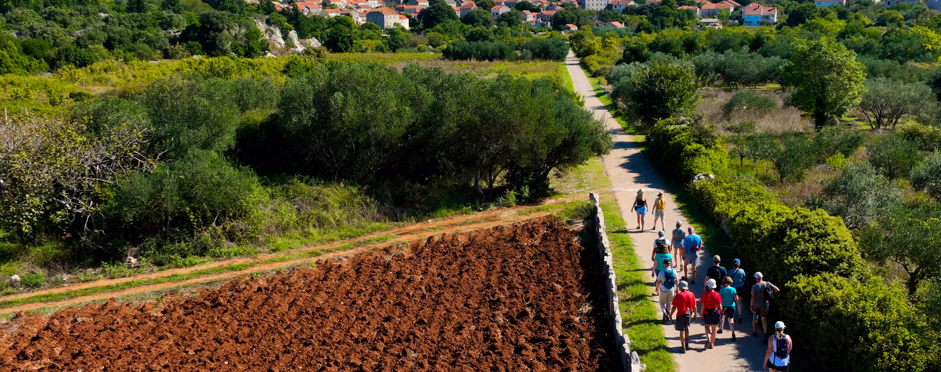 Best Of Croatia Special Banner