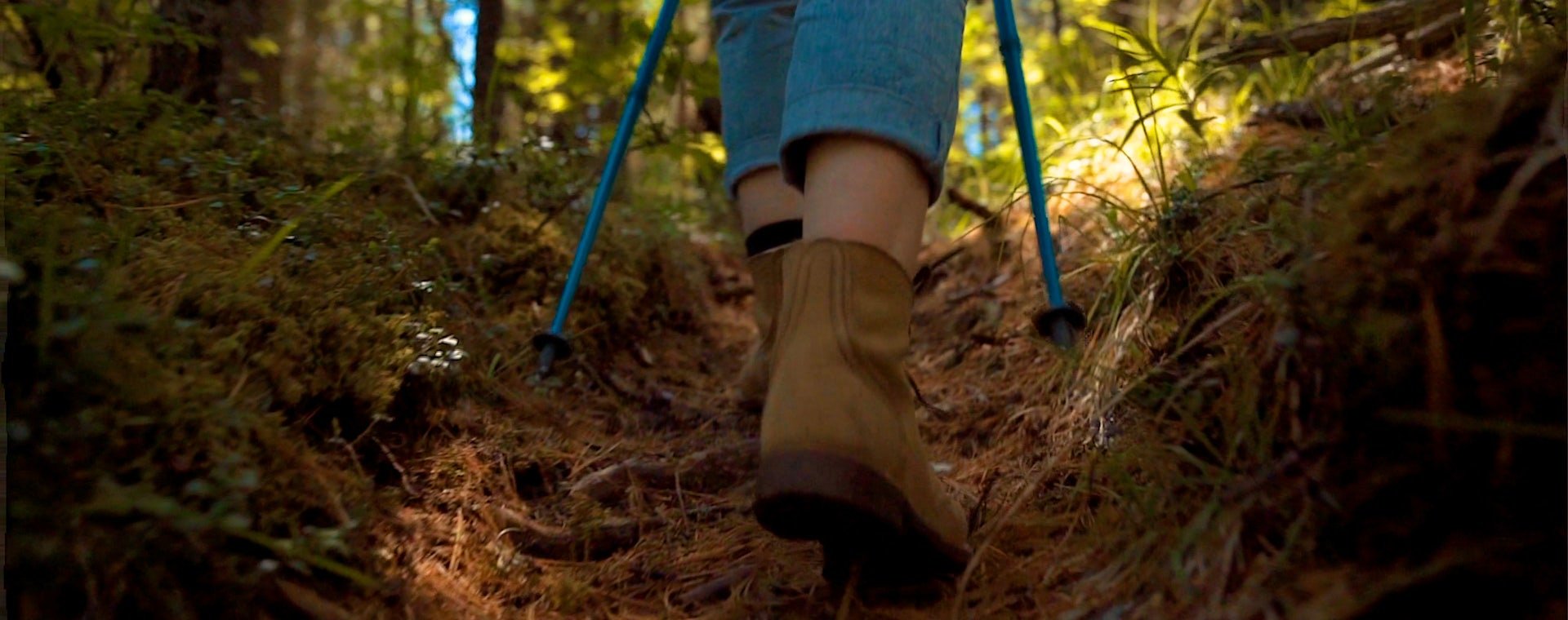 Best Of Croatia Special Banner