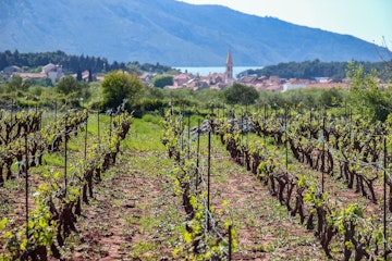 award_winning_wine_1_ceb0da4618