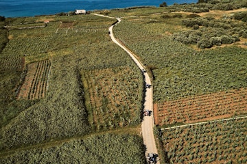 award_winning_wine_4_30bf71af49