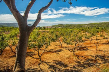 croatian_wineries_6_55da980c60