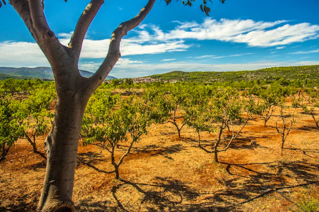 croatian_wineries_6_55da980c60