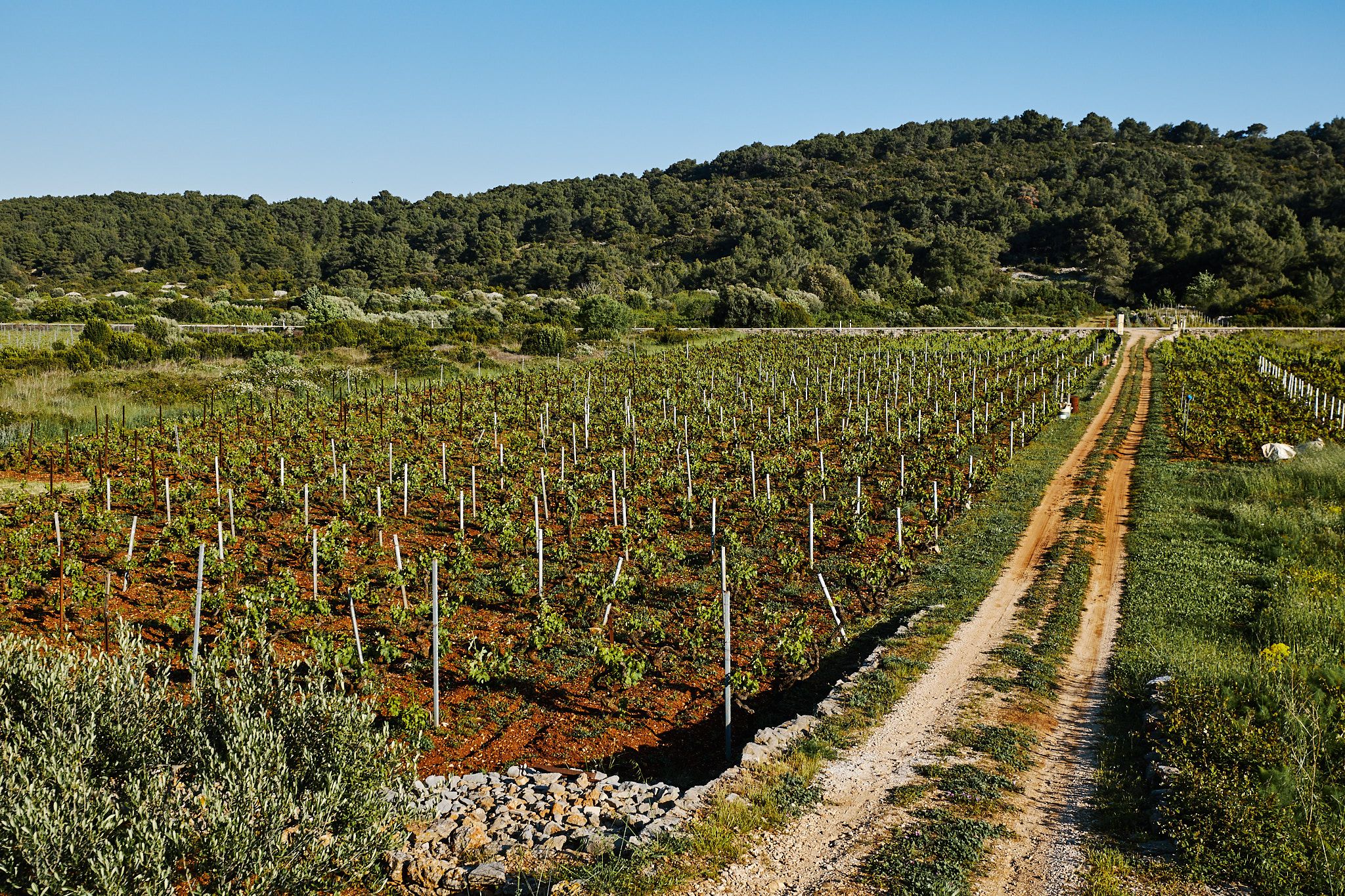 croatian_wineries_8_f9759d339a