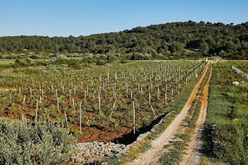 croatian_wineries_8_f9759d339a