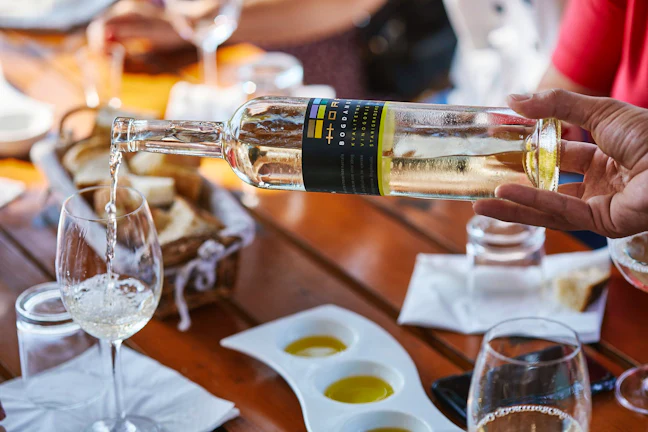 croatian_wineries_9_7b237bc6cf