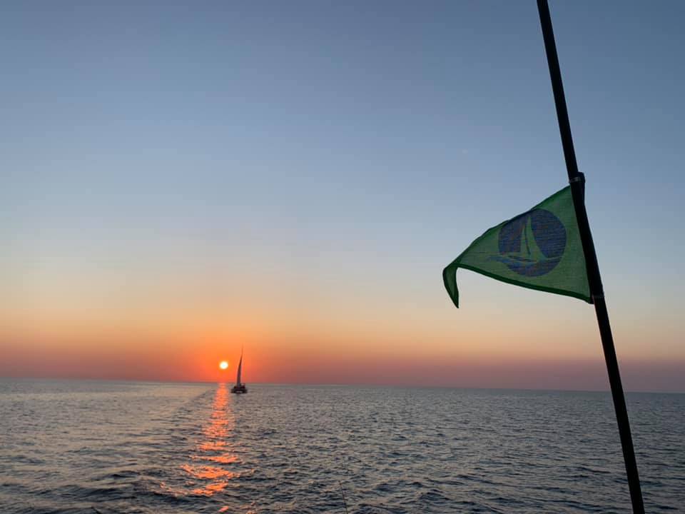 crossing_3_seas_an_ocean_to_get_our_cats_home_4_ee2162fcb5