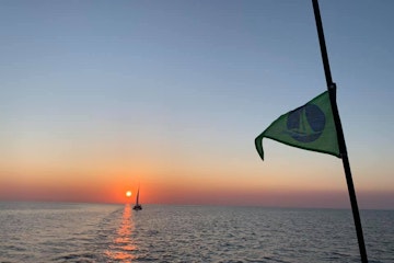 crossing_3_seas_an_ocean_to_get_our_cats_home_4_ee2162fcb5