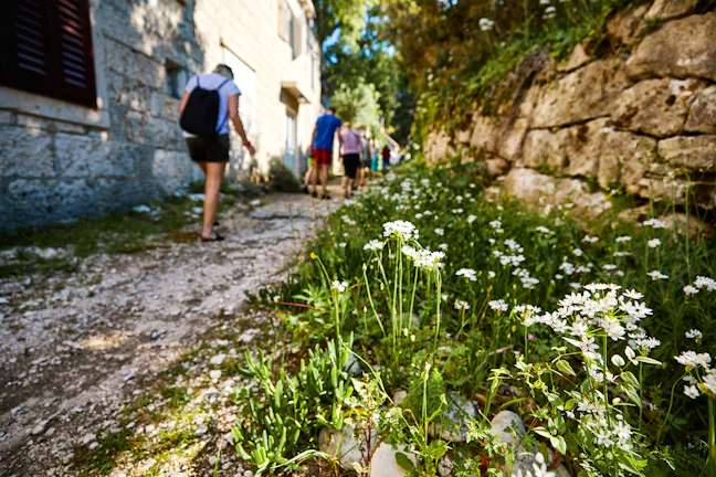 hike_dubrovnik_2_9a5747e532