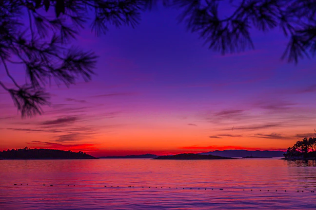 mljet_11_216a909262