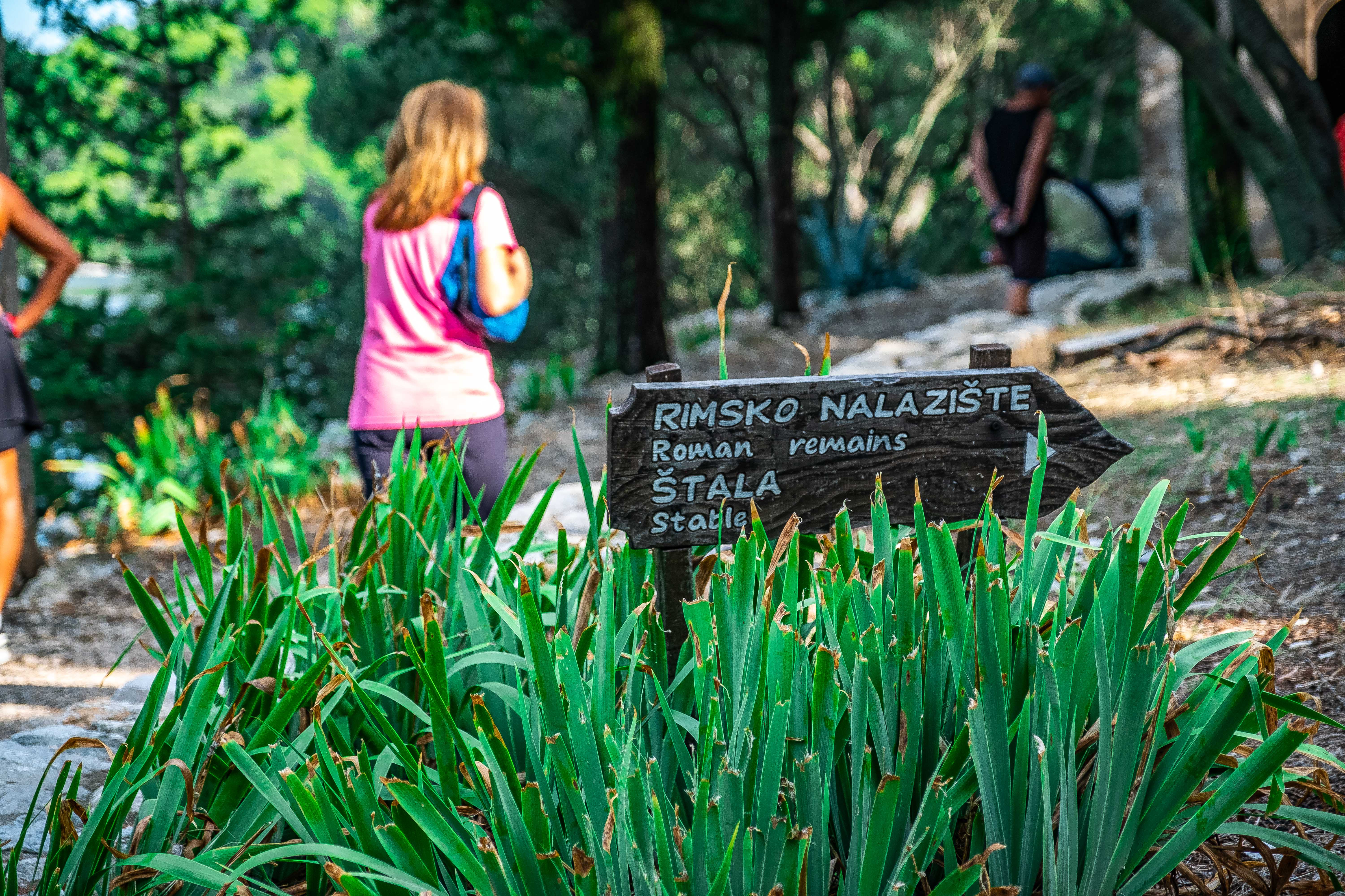 mljet_16_9f3a0780f1