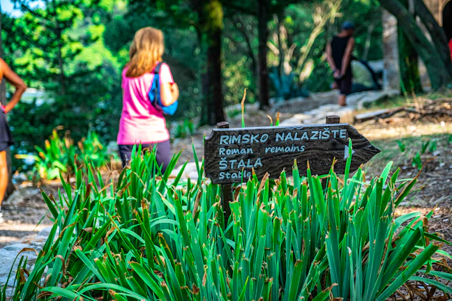 mljet_16_9f3a0780f1