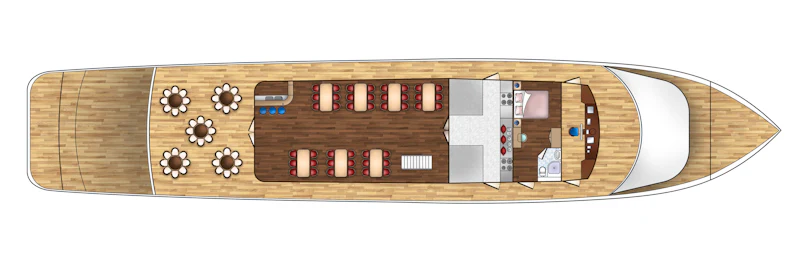 Salon Deck