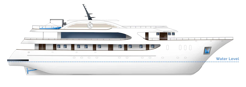 Profile View