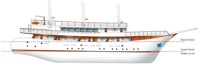 Profile View