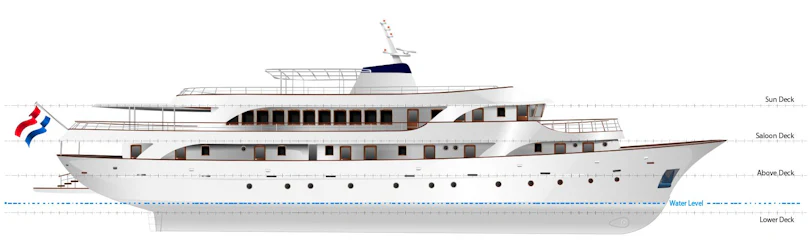Profile View