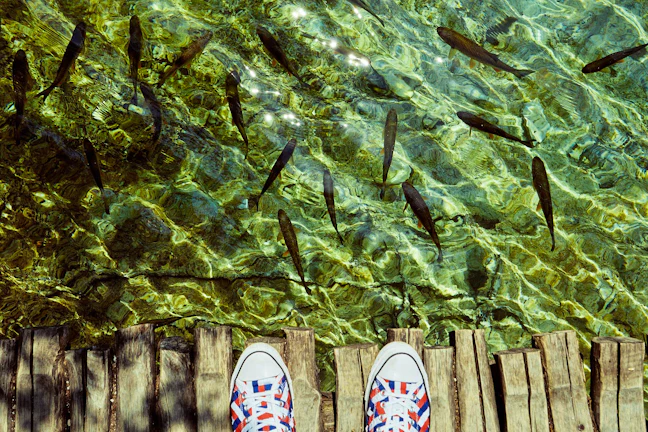 plitvice_lakes_national_park_travel_guide_4_5826650a1c