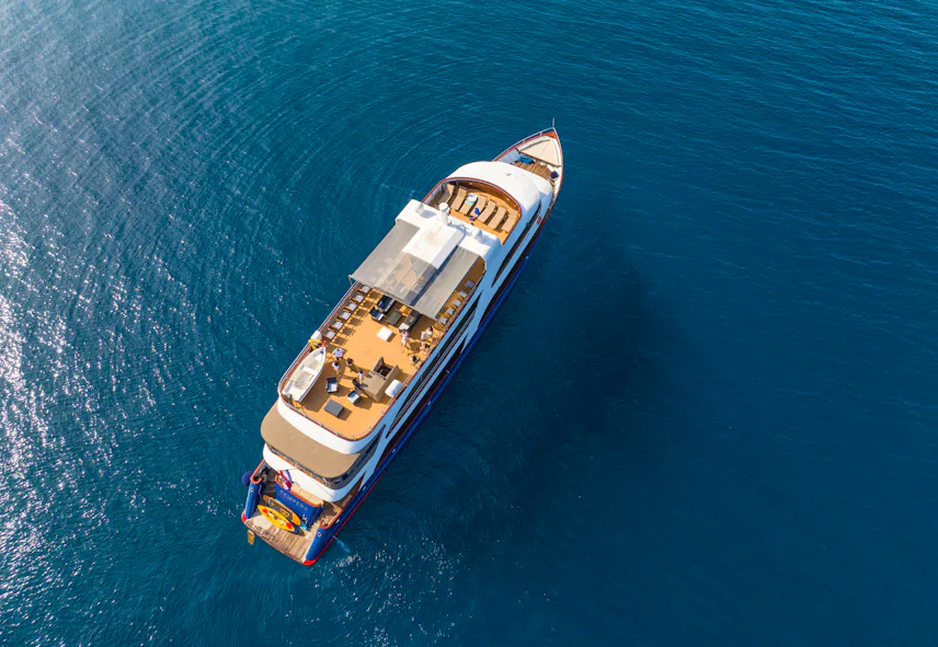 TOP DECK
