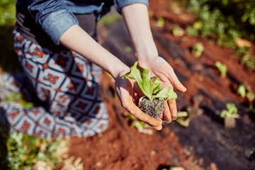 travel_for_free_2_cd4f068608